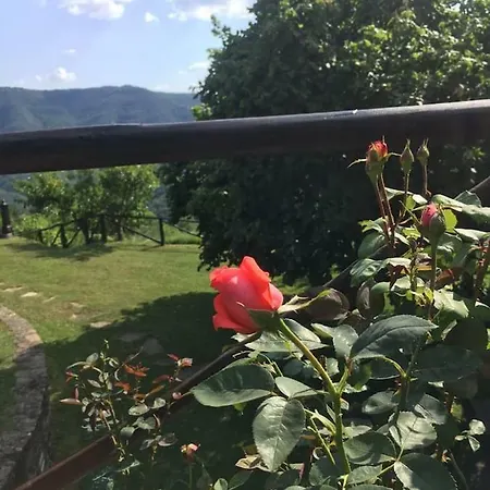 Casale 36 Сasa de vacaciones Cortona