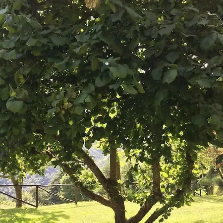 Casale 36 בית נופש קורטונה